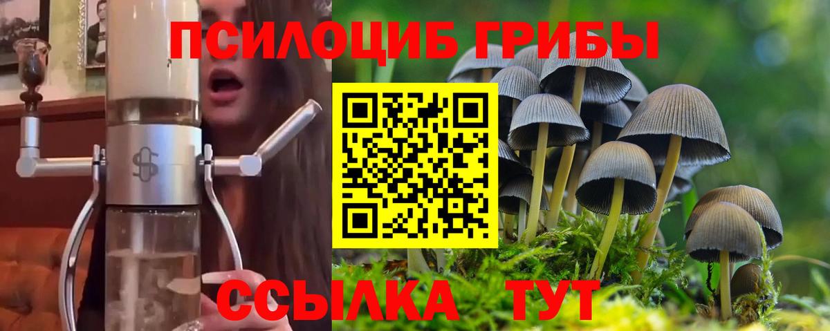 Кировск  Псилоцибиновые грибы мухоморы  Вход с VPN 